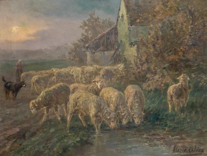 Marie Calves (1883-1957) Troupeau de moutons Huile sur toile signée en bas à droite....