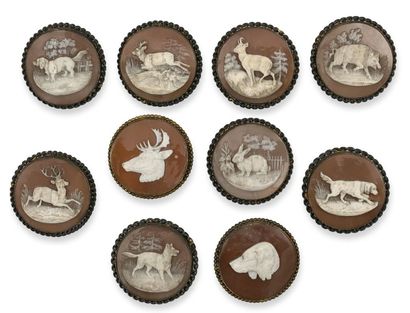 DIVERS O. dix boutons en camées à motifs d'animaux: sanglier, cerf, chamois, lapin,...