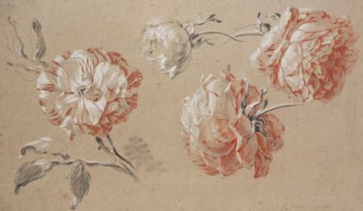 Jean Baptiste HUET (1745-1811) Étude de roses Trois crayons sur papier beige. Signé...