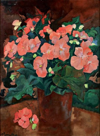 Emmanuel LAMOTTE (1916-1998) Le Bégonia rose. Huile sur toile signée en bas à gauche...