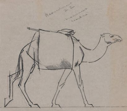 Bernard BOUTET DE MONVEL (1881-1949) 
Lot de 22 études de chameaux. Crayon noir et...