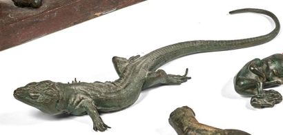  Lézard en bronze moulé sur modèle naturel, patine verte. Long. 39 cm