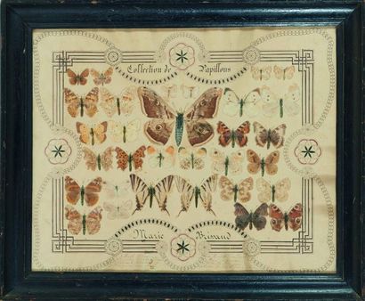 null Sous-verre

Collection de papillons faite par Marie Brissaud. Papiers découpés,...