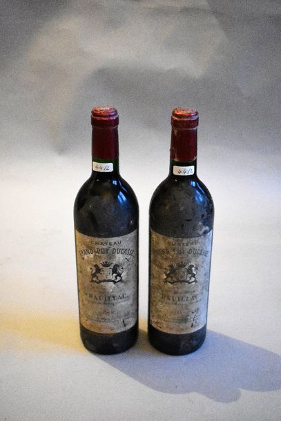 null 2 bouteilles Château Grand Puy Ducasse (niveau parfait/bas goulot), Pauillac...