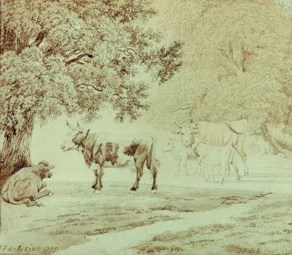 null Entourage de Pierre-Louis DE LA RIVE (1753-1817) : Etudes de vaches. Crayon...
