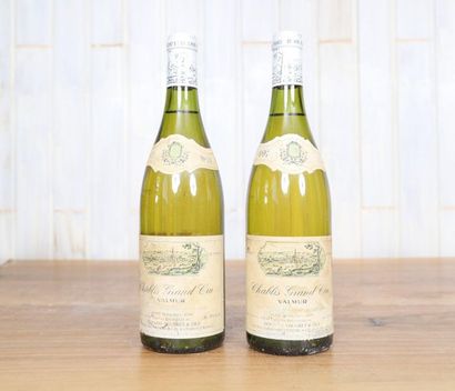 null Chablis Grand Cru (x2)

Valmur

Domaine Yocoret et fils

1991

Niveau correct

0...