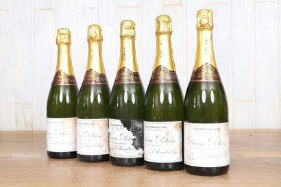 Champagne Pierre Peters (x5)

Cuvée de réserve...