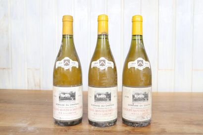 null Puligny Montrachet (x3)

1er cru

La Garenne

Charles Blondeau - Danne Père

1989

Niveau...