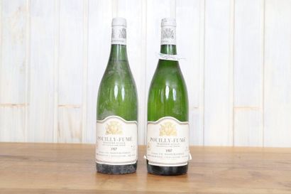 null Pouilly Fumé (x2)

Domaine J-M Musson - Blondelet

1987

0,75L