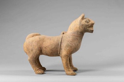null Figuration d'un chien - Chine Dynastie des Han

En terre cuite à traces d'engobe,...