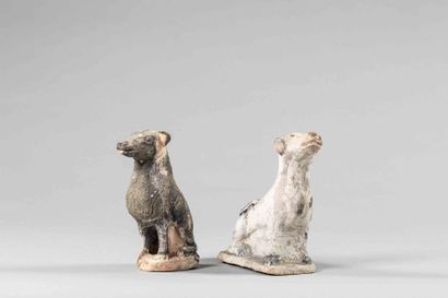 null Sculpture - Chine Dynastie Ming

Paire de chiens en terre cuite blanche à engobe...