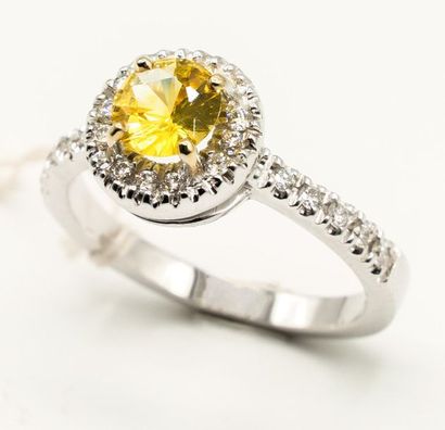 null Bague

En Or blanc 18k, centrée d'un saphir jaune éclatant taille brillant serti...