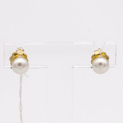 null Boutons d'oreilles

En Or jaune 18k, composés d'une perle blanche de 6,3mm.

Prix...