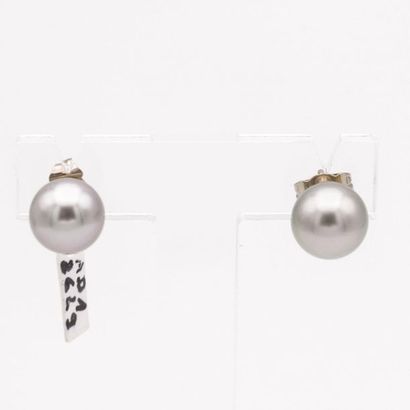 null Boutons d'oreilles

En Or blanc 18k, composés d'une perle grise de 8,8mm.

Prix...