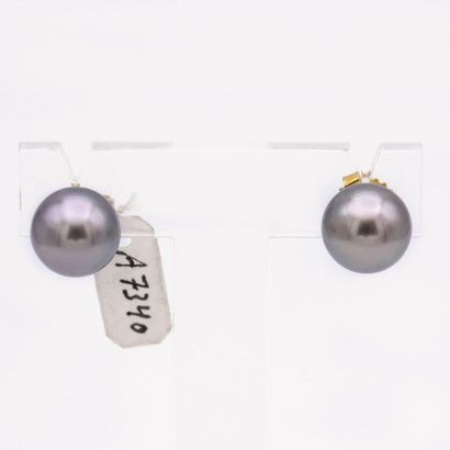 null Boutons d'oreilles

En Or jaune 18k, composés d'une perle grise de 9,3mm.

Prix...