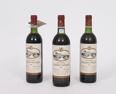 null Château Chasse-Spleen (x3)

Moulis en Médoc

1983

0,75L