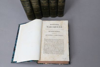 null BUFFON – HISTOIRE des QUADRUPEDES.

6 volumes reliés.