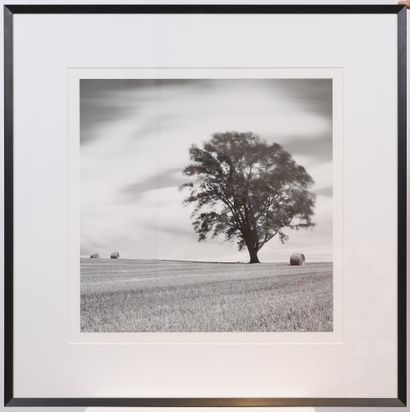 null "Life" by Sébastien Grebille

Black and white photographic print framed under...