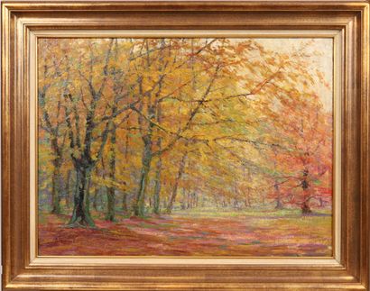  Eugène MOUSSET (1877-1941) 
Huile sur toile, paysage de forêt automnale, signé en...