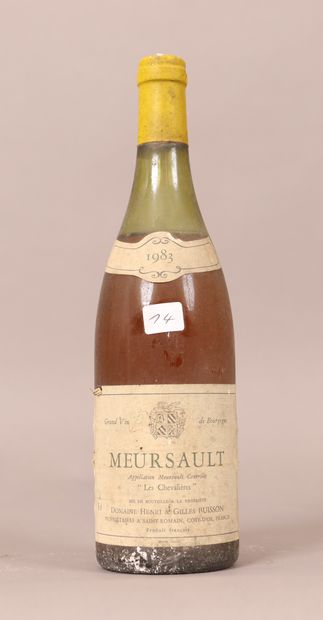 Meursault (x1)

