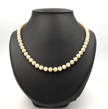 null Pearl necklace