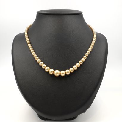 null Collier de perles