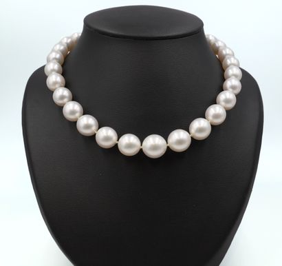Collier de perles 
Composé de 19 perles South...