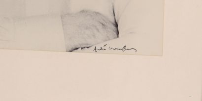 null André Cromphout

Photographie d'Andy Warhol, Tirage argentique. 

Signé en bas...