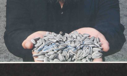null Ai Weiwei (born 1957) (after)
Sunflower seeds" photograph from his exhibition...