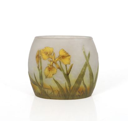 null DAUM NANCY 
Glass navette-shaped vase with engraved and enameled marsh iris...