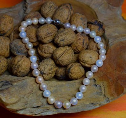 null Important collier perles de culture naturelles diamètre 9,5 - 10 mm aux couleurs...