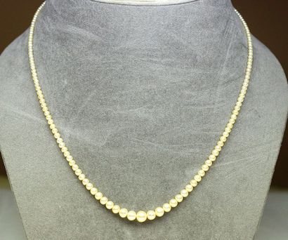 null Un collier en perles fines et perles de culture