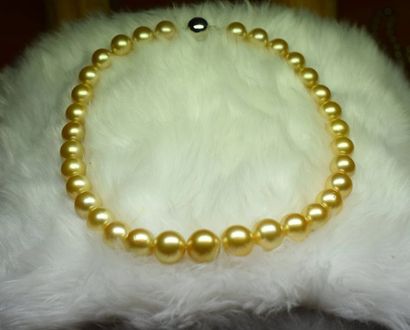  Important collier de perles GOLD (South Sea) en chute de 10-13 mm. Couleur parfaite,...