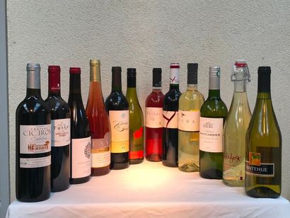null lot de vins anciens (12 bouteilles)