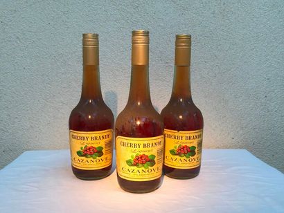 null Cazanove (lot de 3 bouteilles)

Sherry Brandy Liqueur ( très ancien)