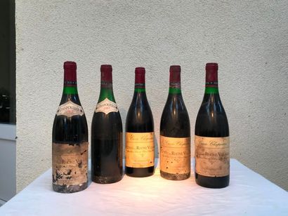 null Chapoutier

lot de 5 bouteilles / 3 sans étiquettes

Côtes du Rhône Village...
