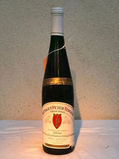 Weingut Peter Terges(lot de 6 bouteilles)

Kabinett...