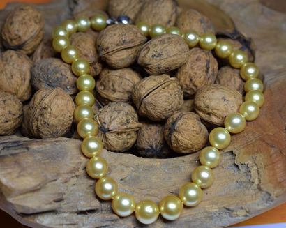 null Important collier de perles GOLD (South sea) en chute (D: 10 - 12,5 mm). Couleur...
