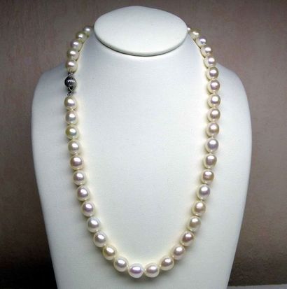null Un très joli et important collier de perles de culture naturelles de forme olive...