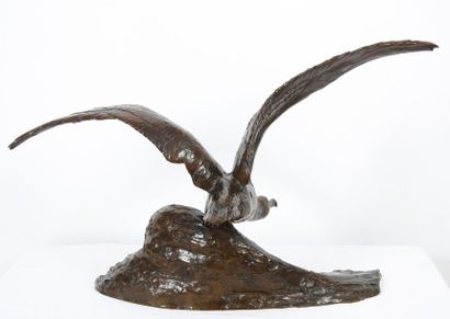 null Albatros de M. Fiot (1886-1953)

En bronze représentant un albatros volant au-dessus...