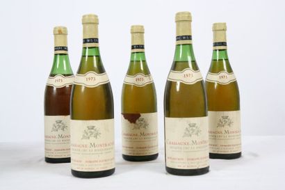 null Chassagne Montrachet (5 bouteilles)

Premier Cru

Rocquemaure

Domaine Fleurot...
