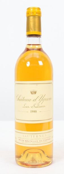 null Château d'Yquem

Lur-Saluces

Sauterne

1988

0,75L
