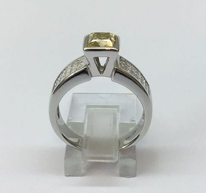 null Bague 

Solitaire Pavée Princess 1.01 Cts + 0.36 Carats