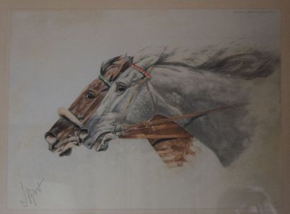 null J. HIRST ou RIRST (XX ème), chevaux, lithographie. 28 x 38 cm.