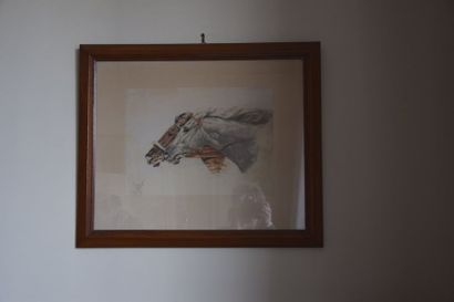 null J. HIRST ou RIRST (XX ème), chevaux, lithographie. 28 x 38 cm.