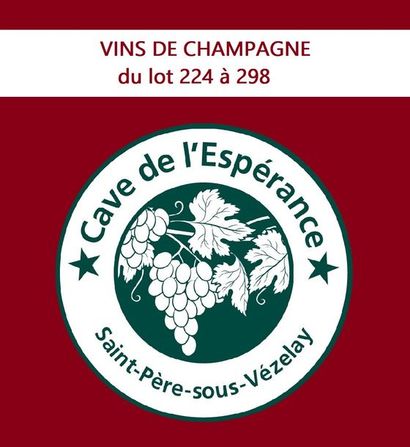 VINS DE CHAMPAGNE du lot 224 à 298 VINS DE CHAMPAGNE du lot 224 à 298