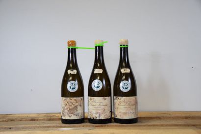 null 3 bouteilles BIENVENUES-BÂTARD-MONTRACHET, Etienne Sauzet 2012 (es, elt) 