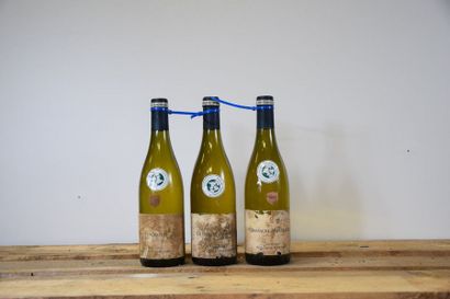 null 10 bouteilles CHASSAGNE-MONTRACHET Fontaine-Gagnard 2010 (ea, es) 
