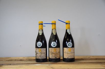 null 10 bouteilles TOURIGA NACIONAL "Dao", Quinta dos Roques 1999 (ea) 