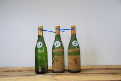 null 12 bouteilles POUILLY-FUISSE "Ménétrières", Ferret 2011 (ea) 